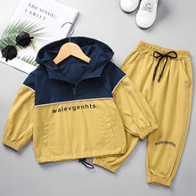 Load image into Gallery viewer, Fashion Baby Boy Girl Clothes Set Cotton Coat+Pant 2PCS Bebe Kids Sport Jacket Clothing Suit Long Sleeve Spring Autumn Summer
